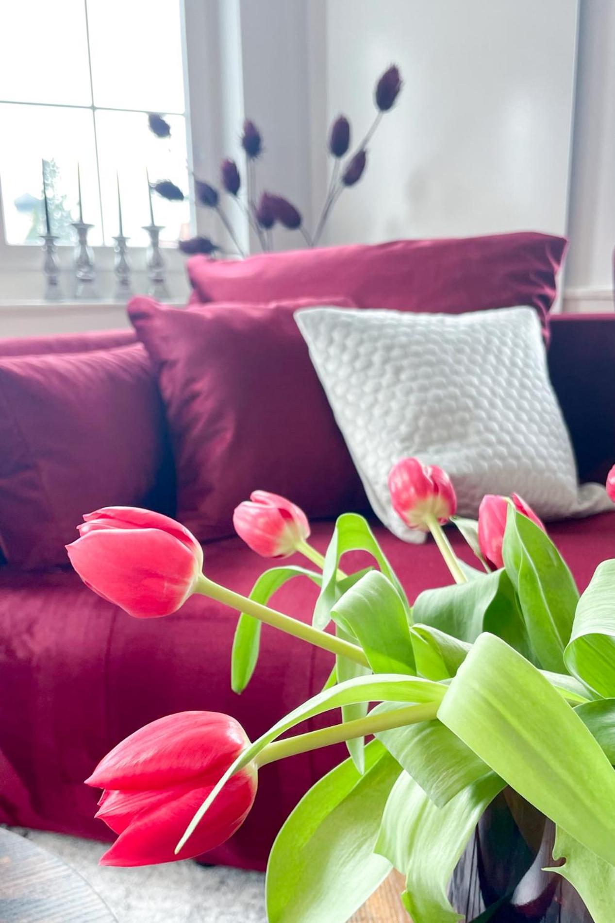 Velvet Ein Haus Mit Geschichte Im Herzen Tettnangs Messe Friedrichshafen Appartement Buitenkant foto